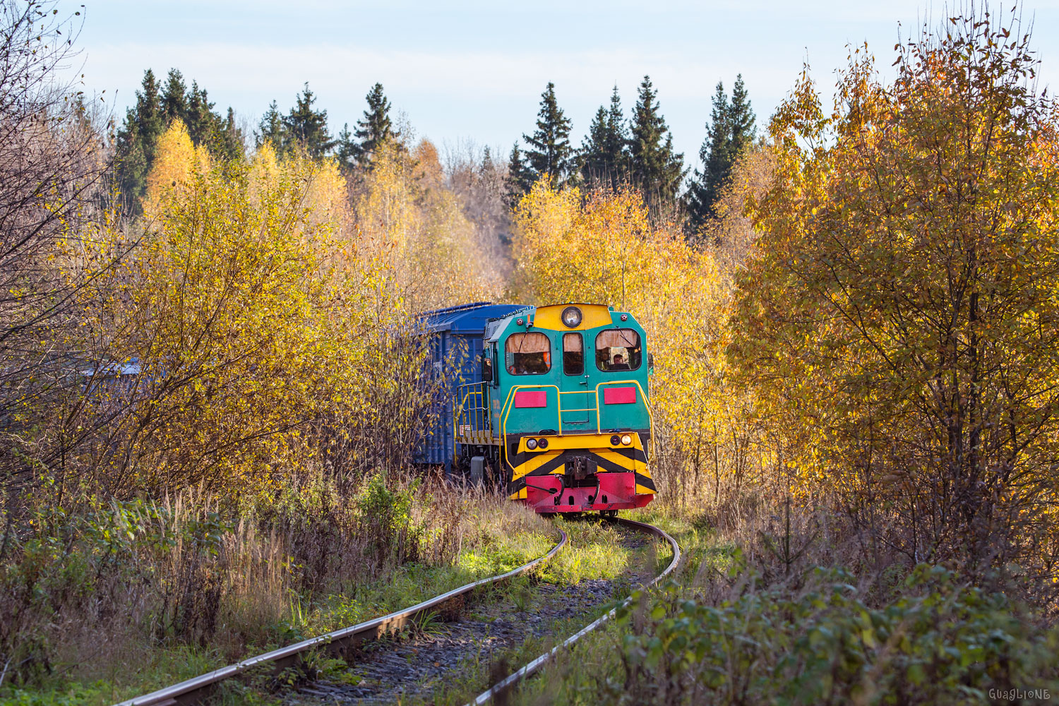 ТГМ6-2331
