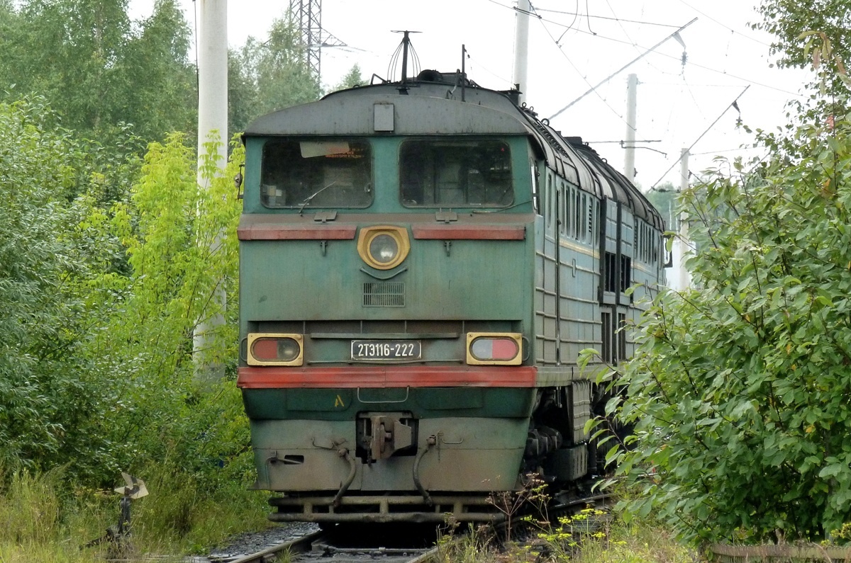 2ТЭ166-222