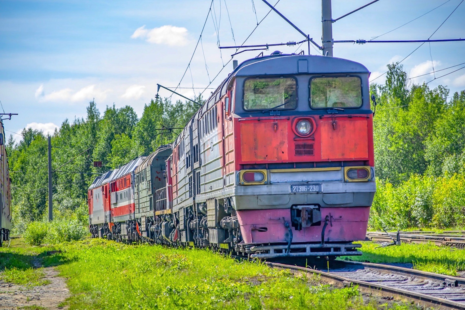 2ТЭ116-230