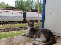 3438 КБ